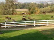 farm packages Farm packages